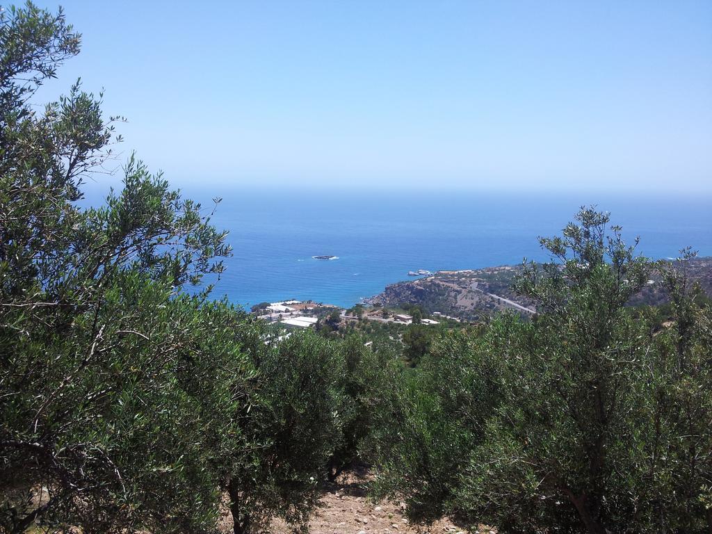 Stefanos Apartments Agia Fotia  Екстериор снимка