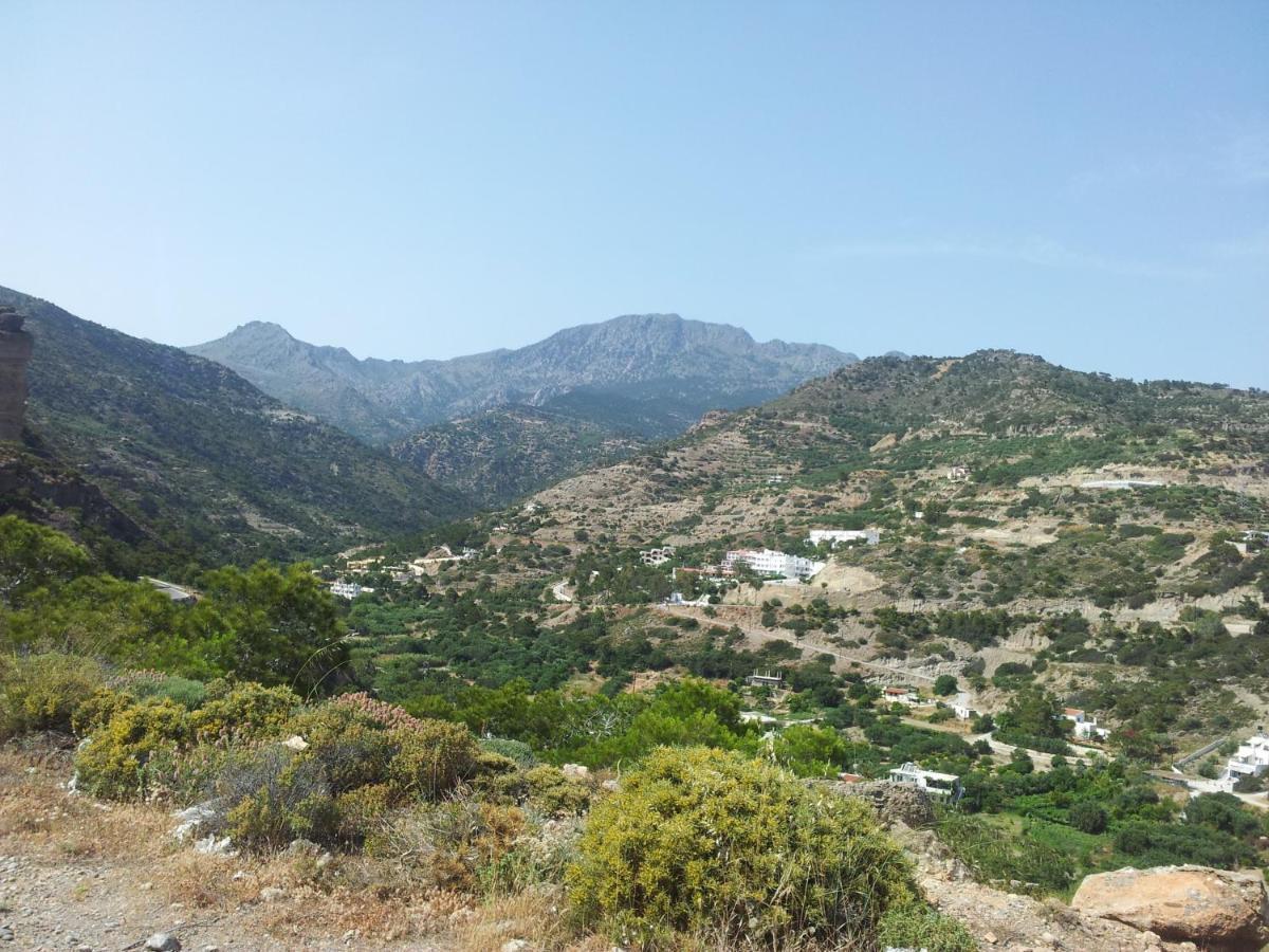 Stefanos Apartments Agia Fotia  Екстериор снимка