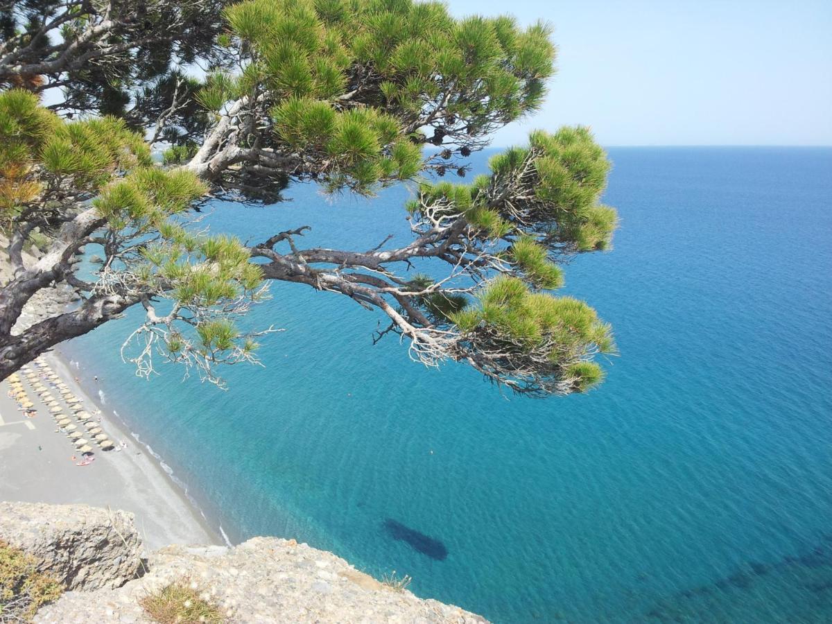 Stefanos Apartments Agia Fotia  Екстериор снимка
